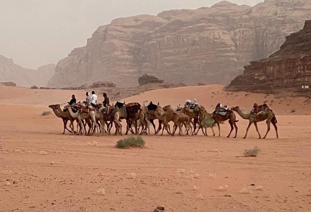 Wadi Rum Trail Dış mekan fotoğraf