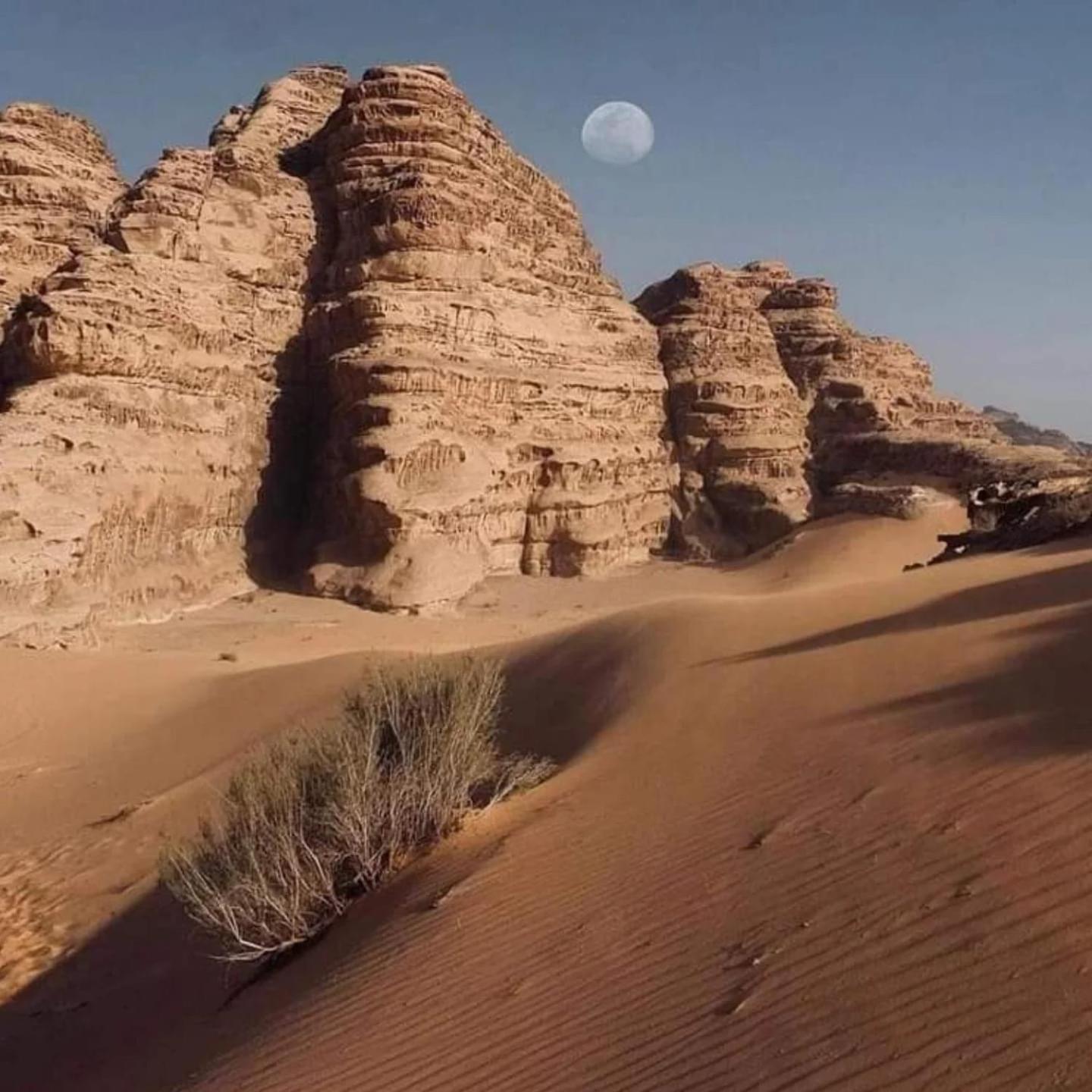Wadi Rum Trail Dış mekan fotoğraf
